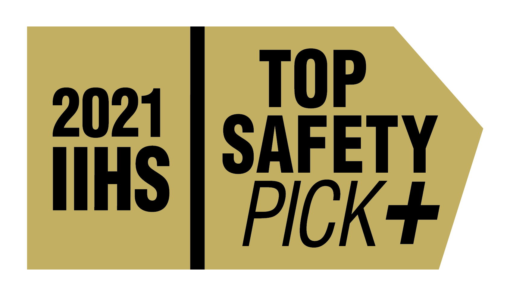 2020 IIHS Top Safety Pick+ Logo