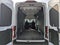 2025 Ford Transit 250