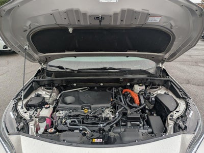 2021 Toyota Venza LE