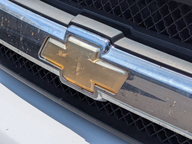2008 Chevrolet TrailBlazer LS 1FL