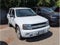 2008 Chevrolet TrailBlazer Fleet w/1FL